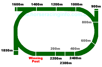 newcastle race track map