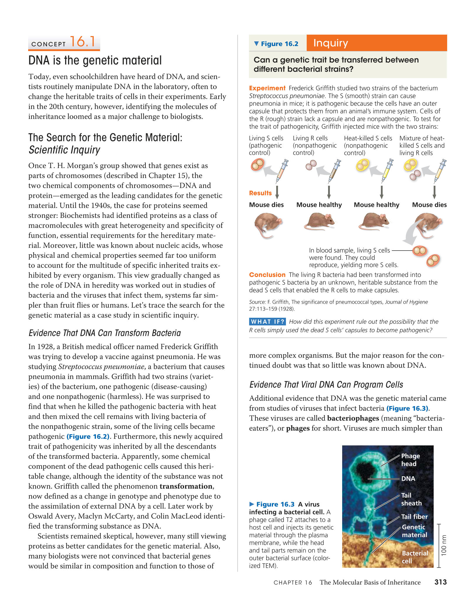 campbell biology 10th edition table of contents