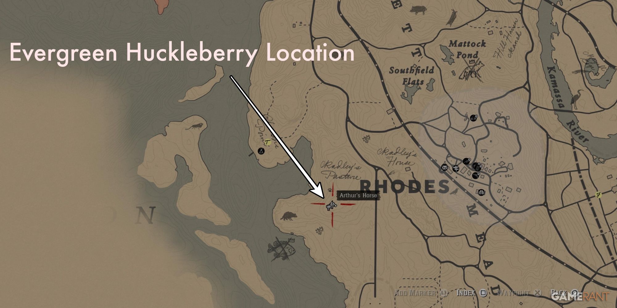 rdr2 evergreen huckleberry