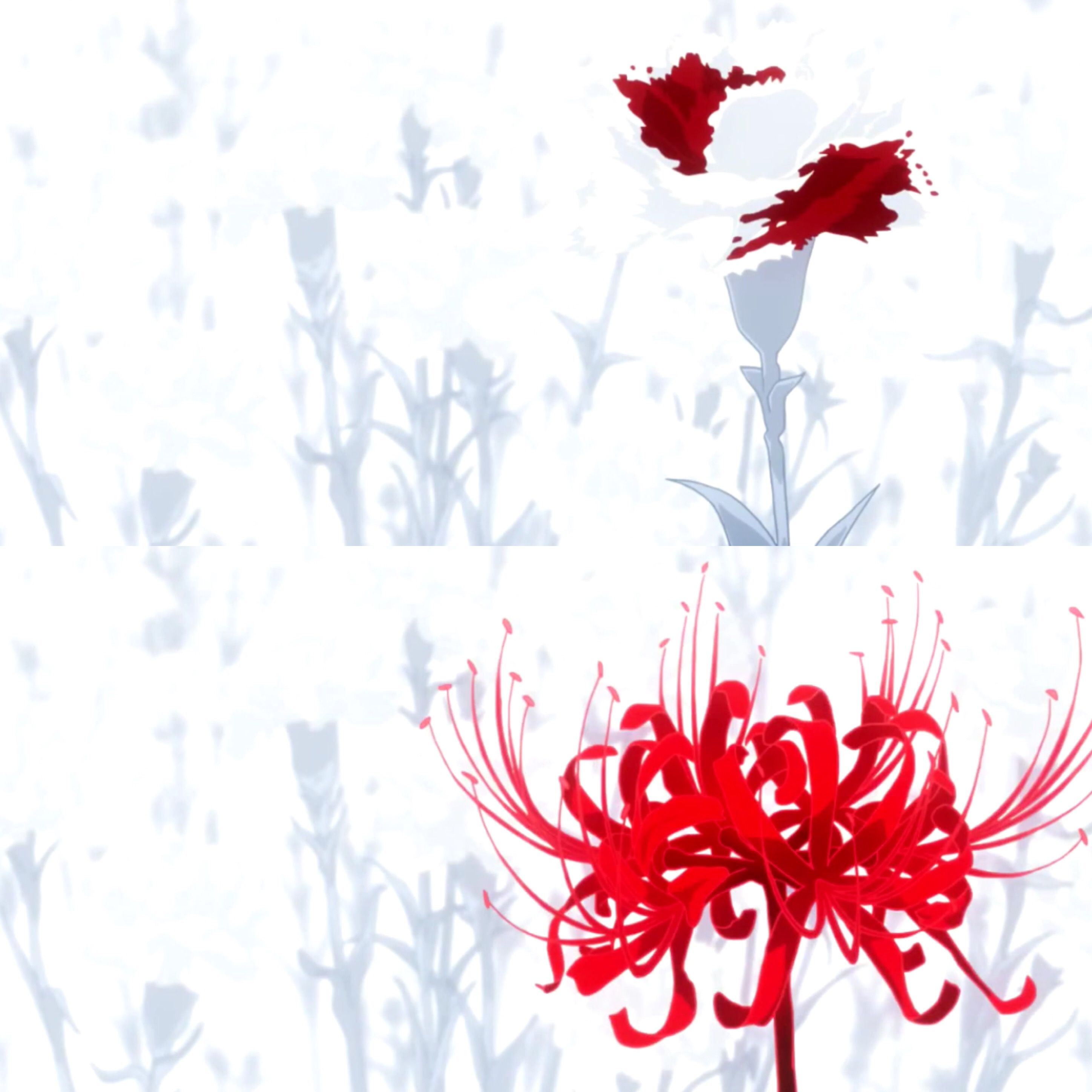 red spider lily meaning