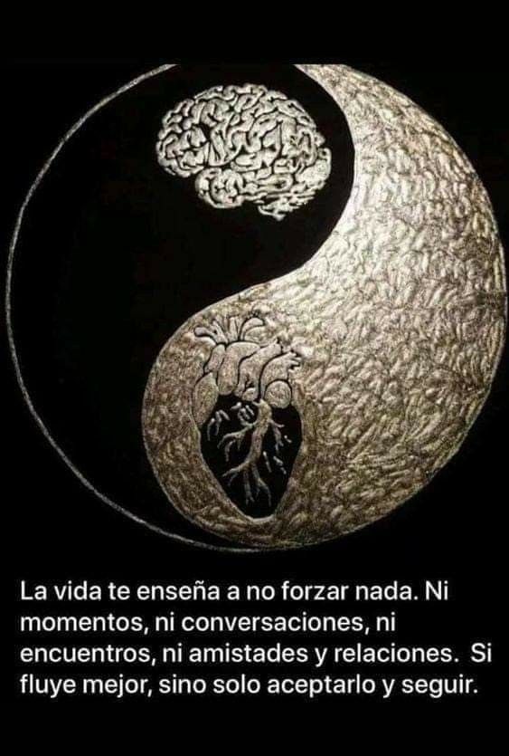 el yin y el yang frases