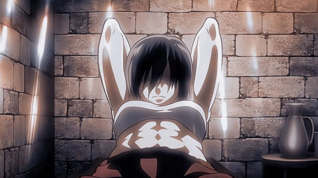 mikasa abs