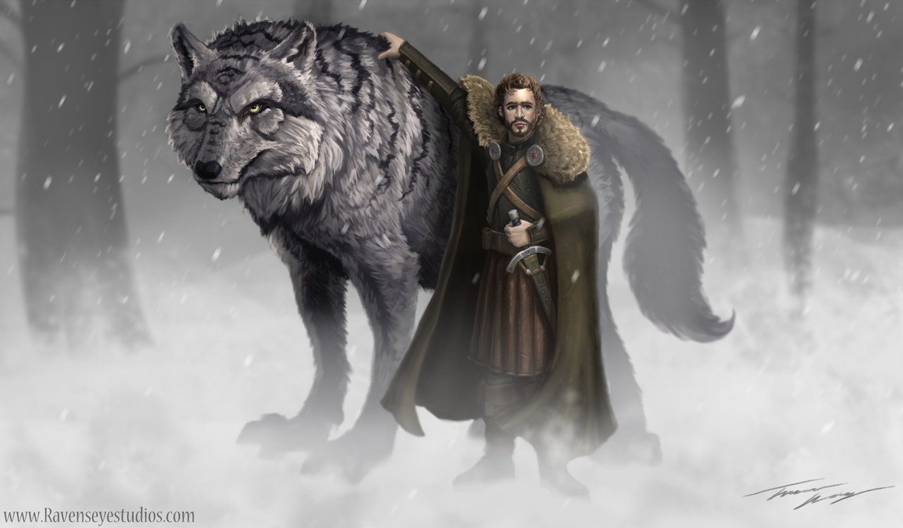 robb stark wolf