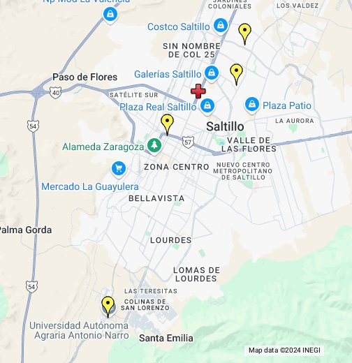 google maps saltillo