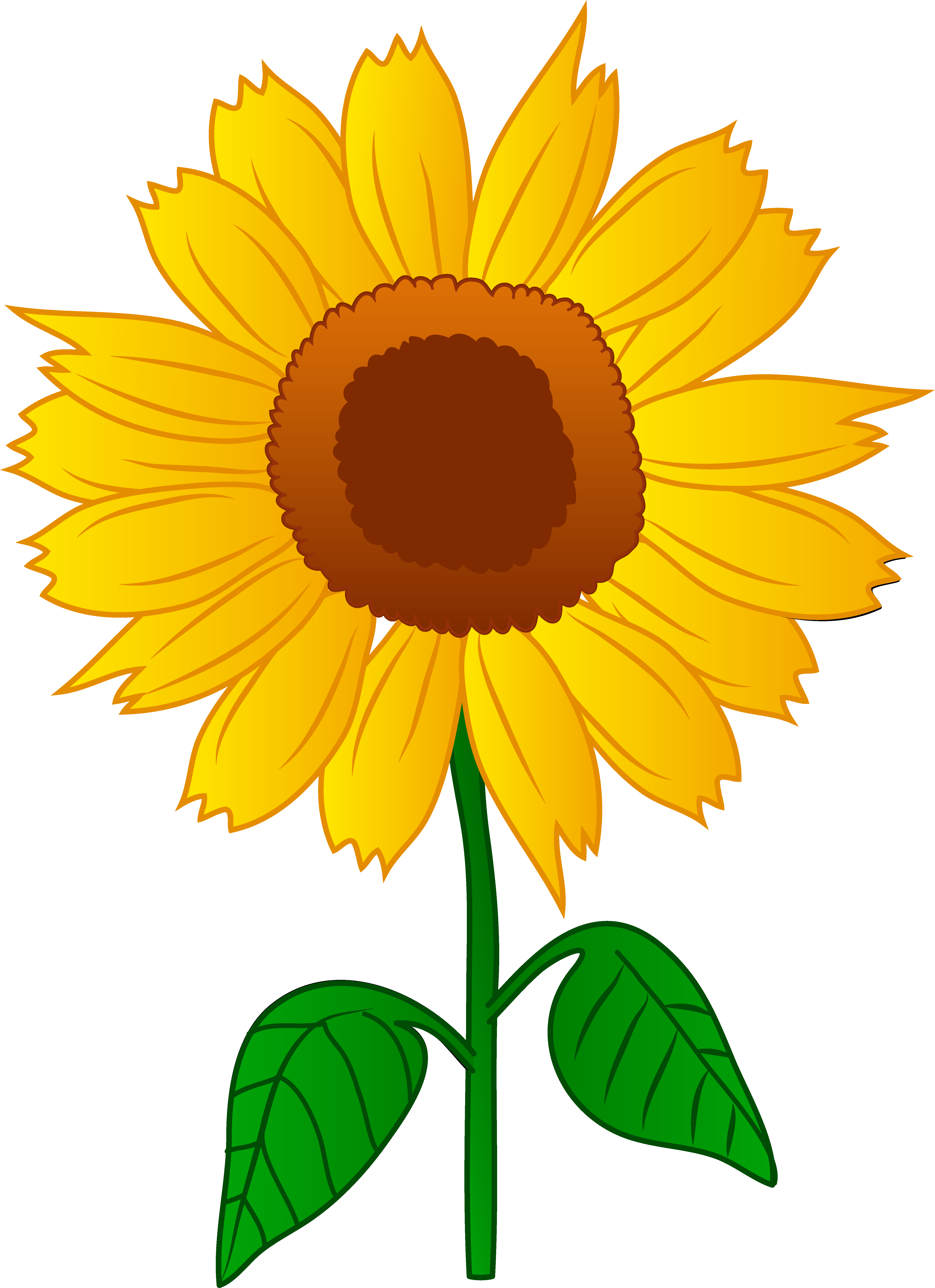 sun flower clipart