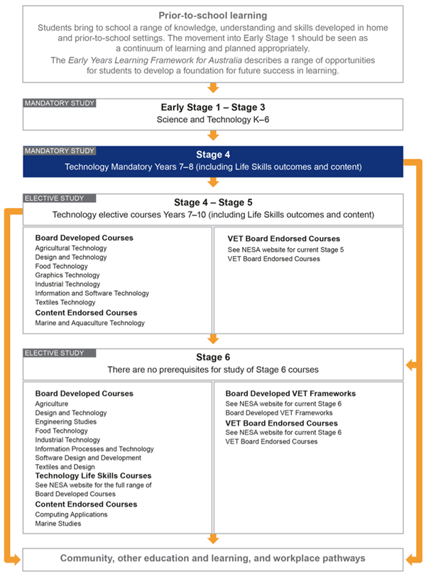 nesa syllabus