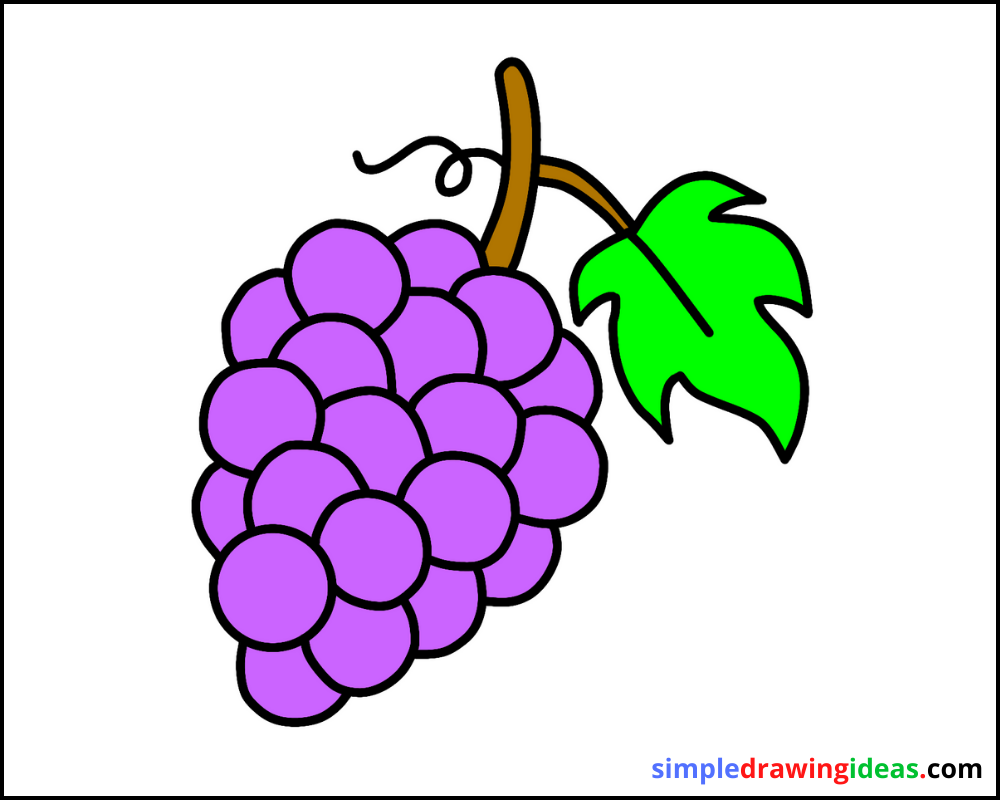 grapes drawing easy