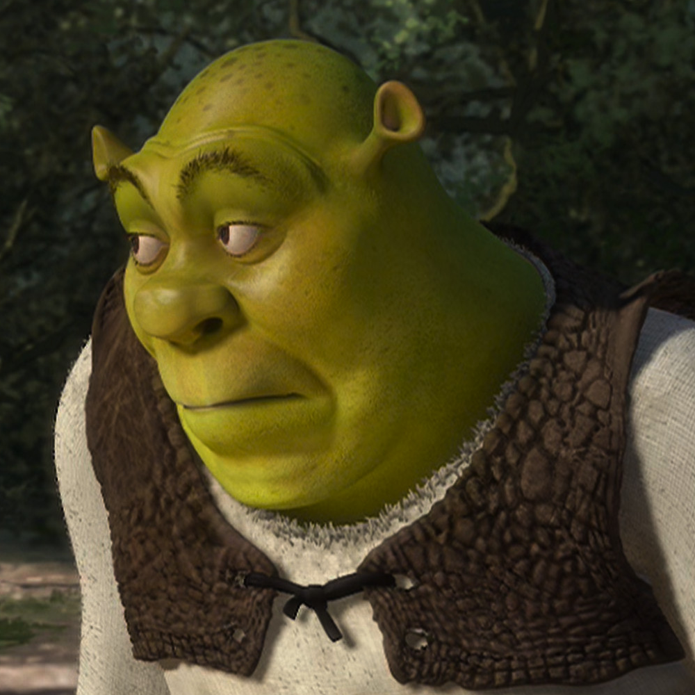 shrek meme face