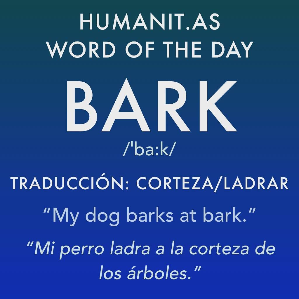 bark traduccion