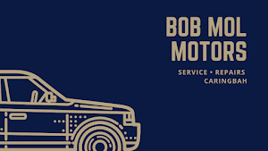 bob mol motors