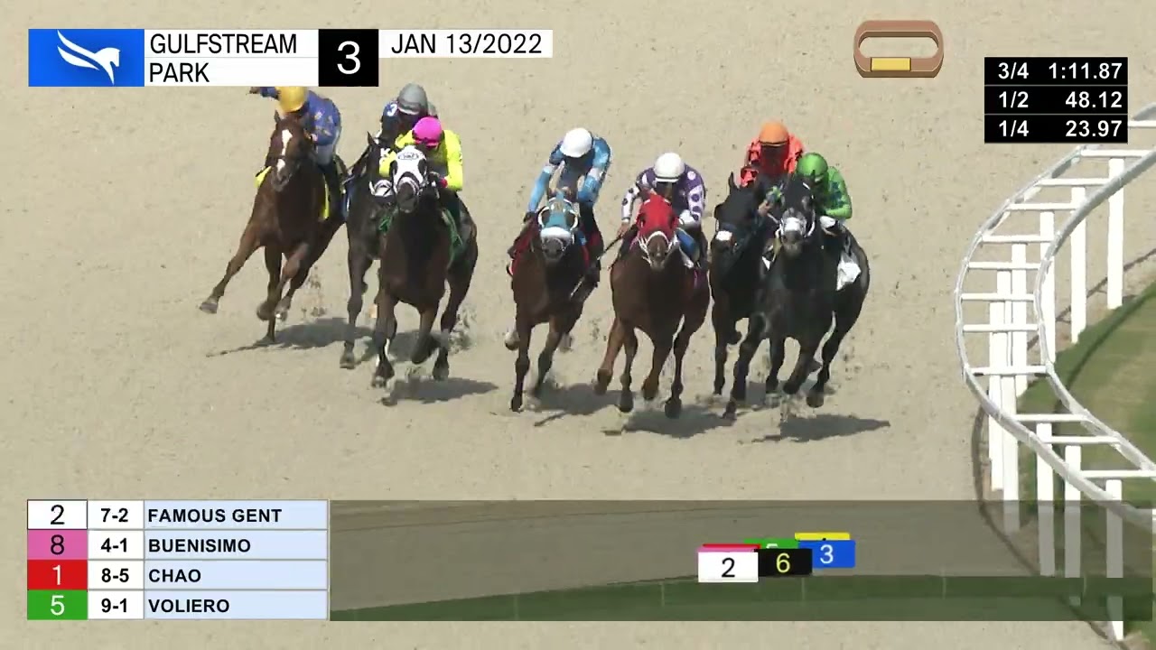 gulfstreampark livestream