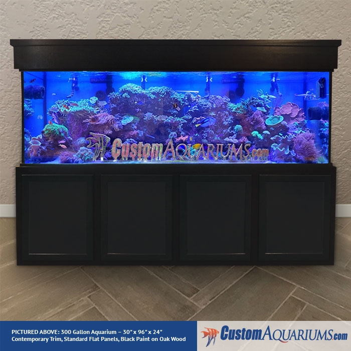 large fish tank for sale