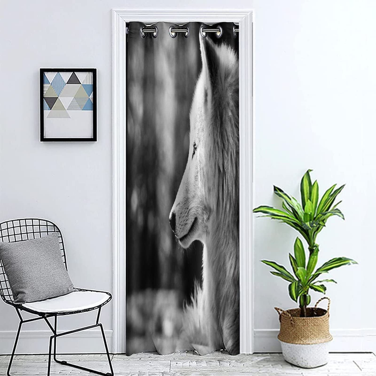 decorative door curtains