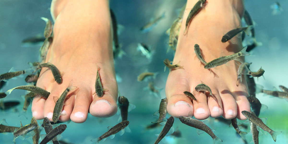 fish spa pedicure near me