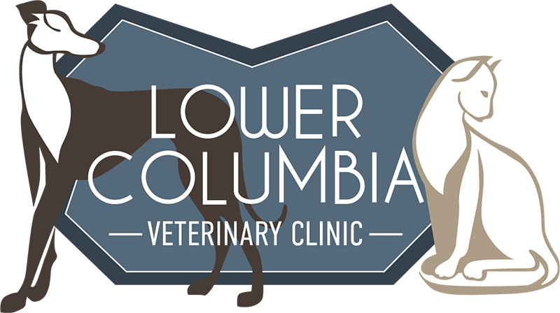 emergency vet longview wa