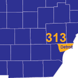 313 area code location