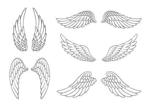 wings outline drawing