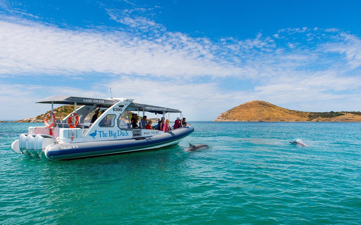 the big duck boat tours