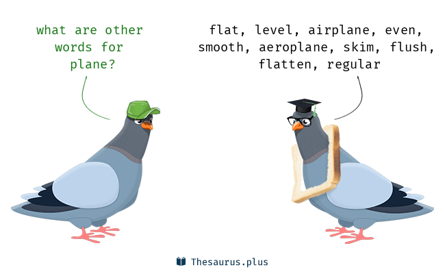 synonyms plane