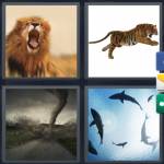 4 pics 1 word level 147 answer 9 letters