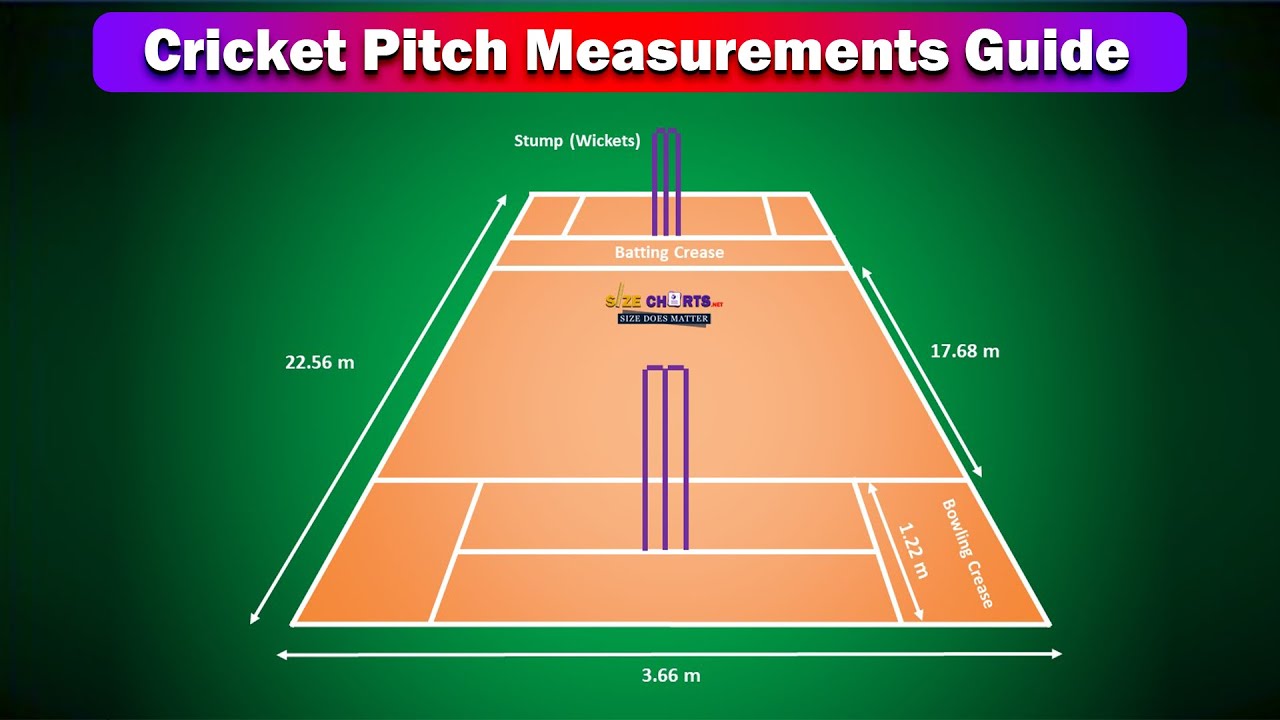 size of cricket pitch in feet