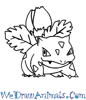 ivysaur drawing