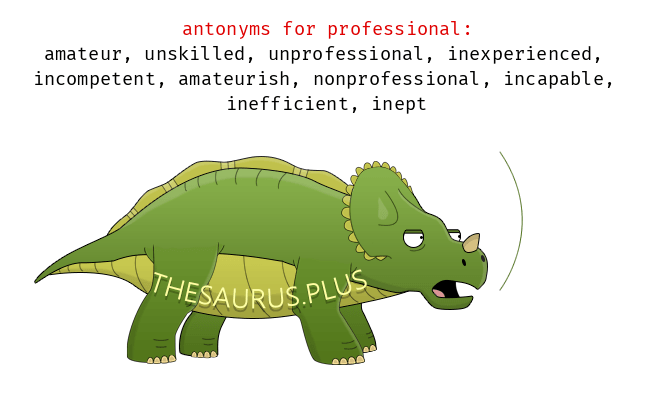 antonyms professional