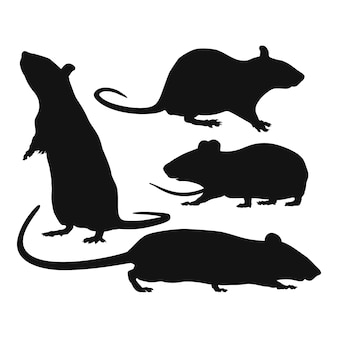 silhouette of rat