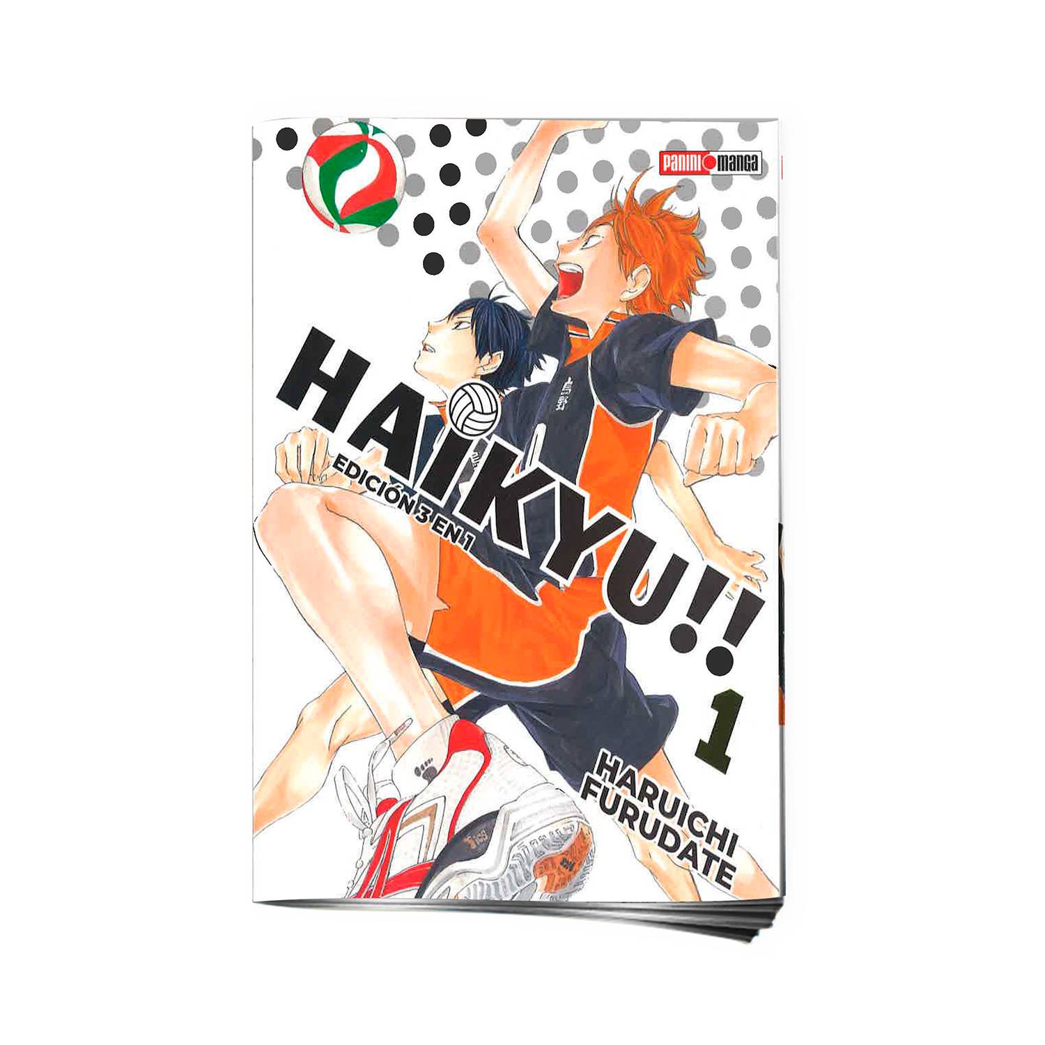 haikyuu panini