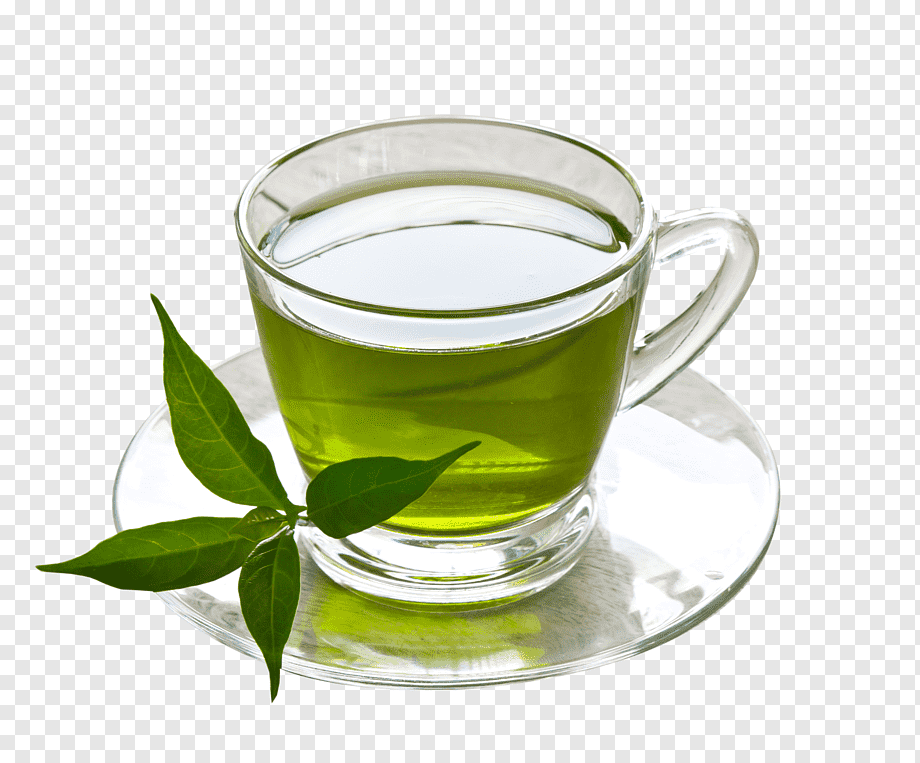 green tea cup png