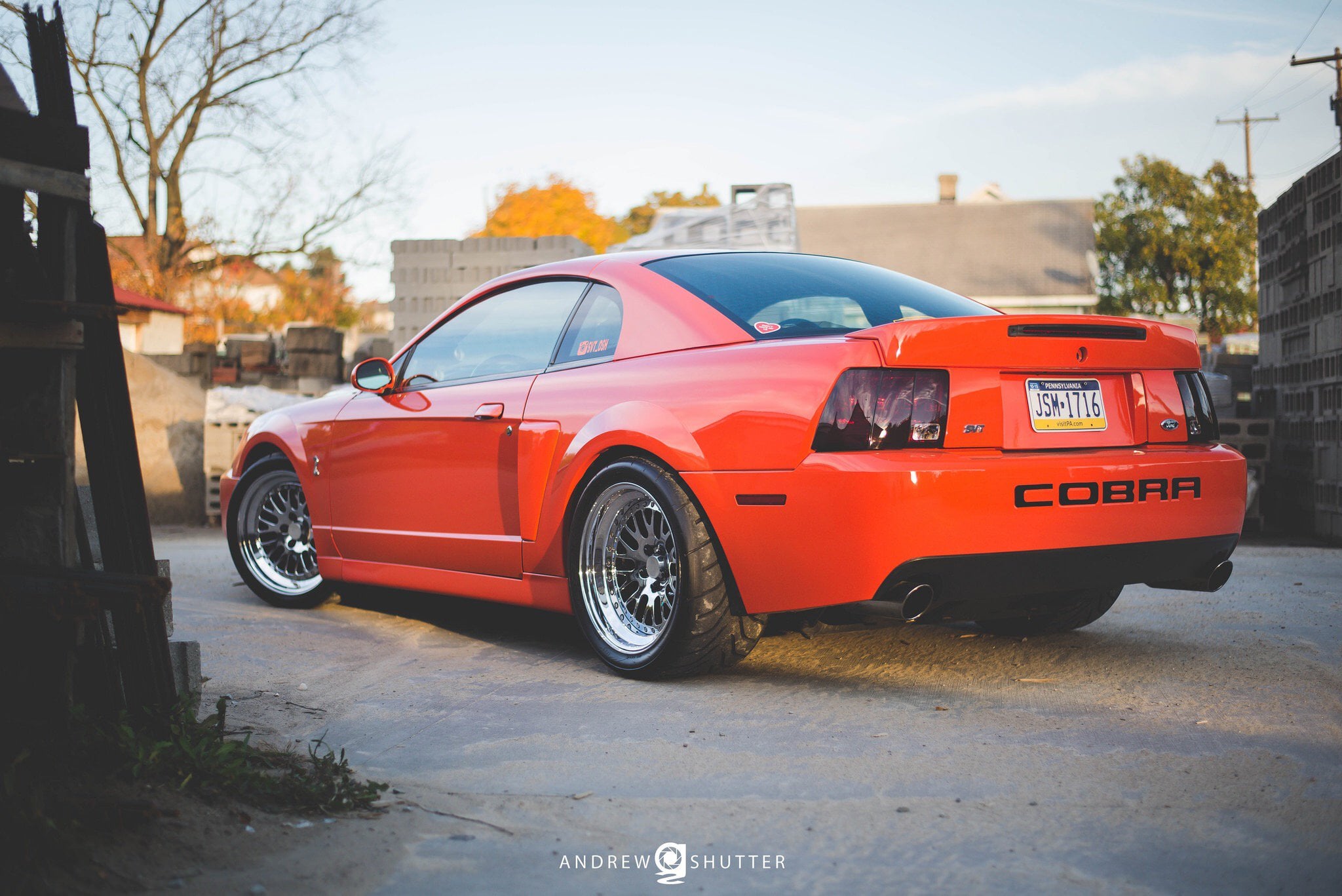 competition orange cobra