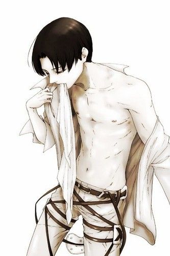 levi x reader smut