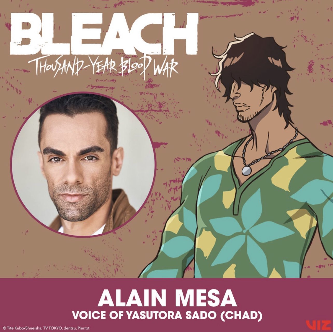 chad bleach voice actor