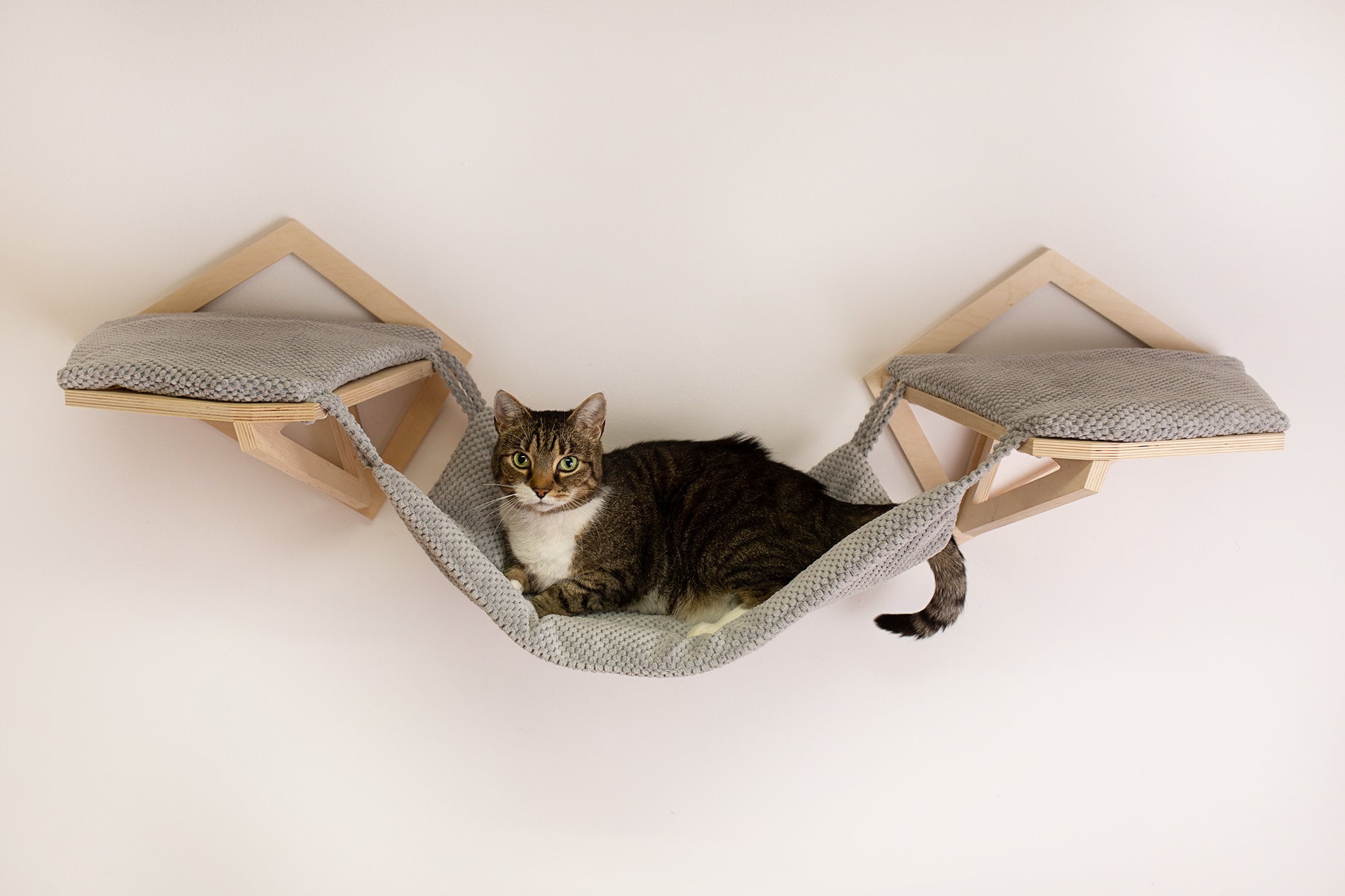 wall mounted cat hammock