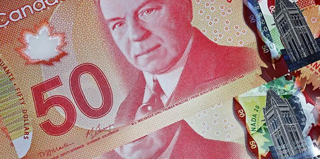 exchange rate canadian dollar euro