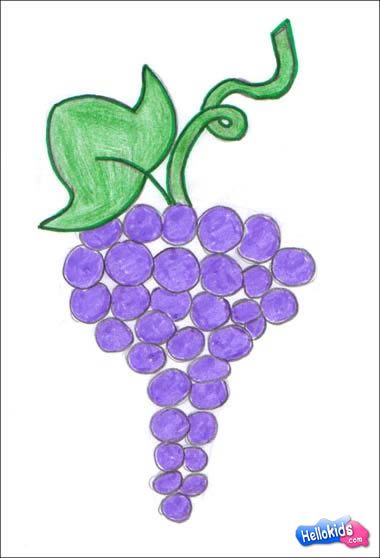 grapes images for kids