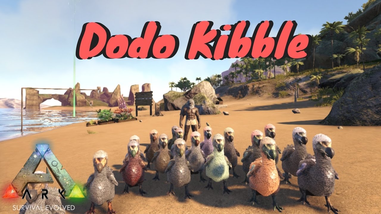 dodo kibble