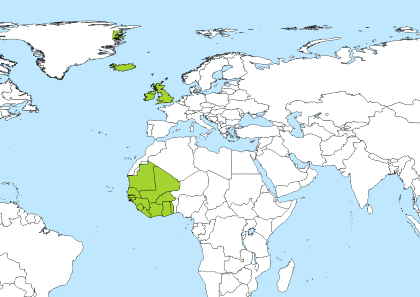 gmt to edt