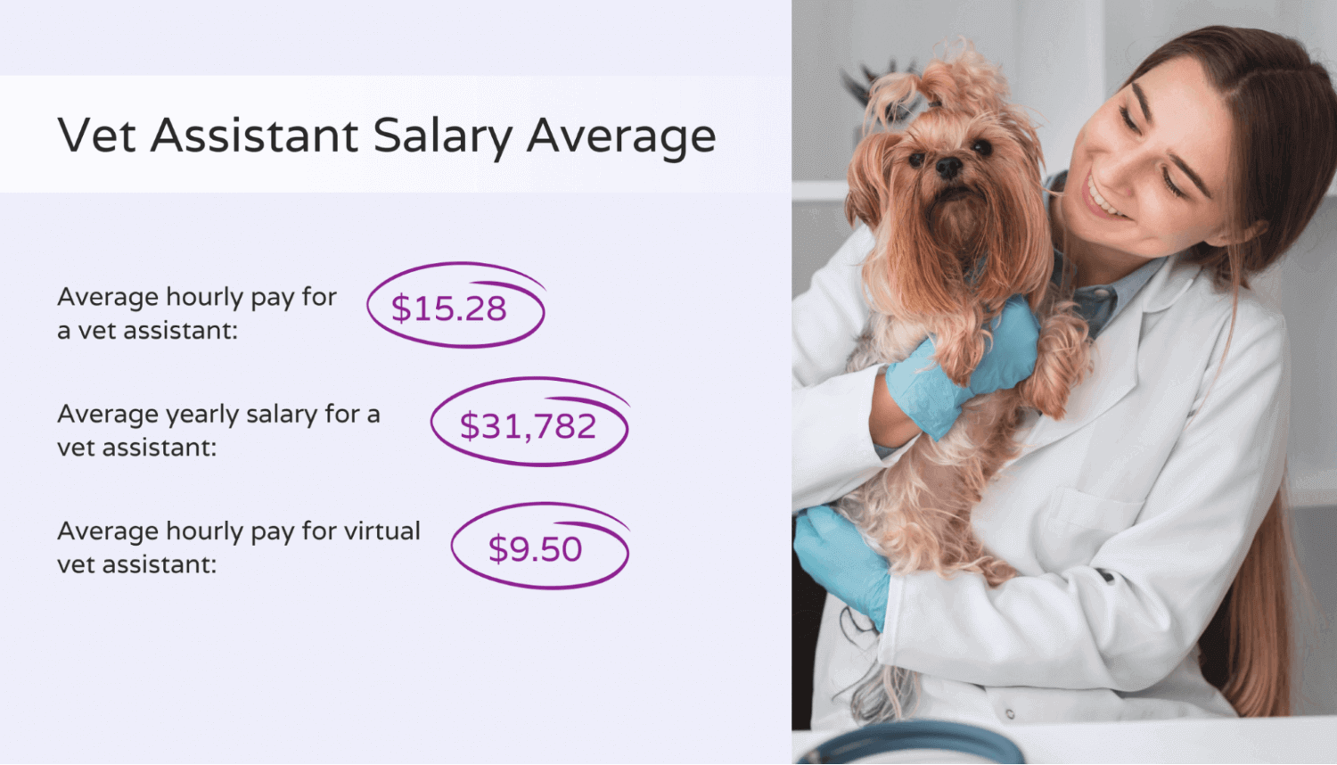 veterinary assistant salary