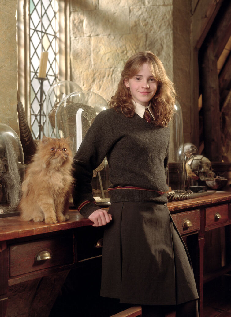 hermione granger in the prisoner of azkaban