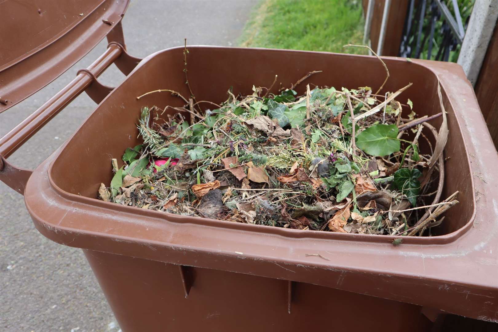 faversham bin collection