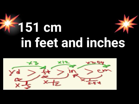 151 cm in inches