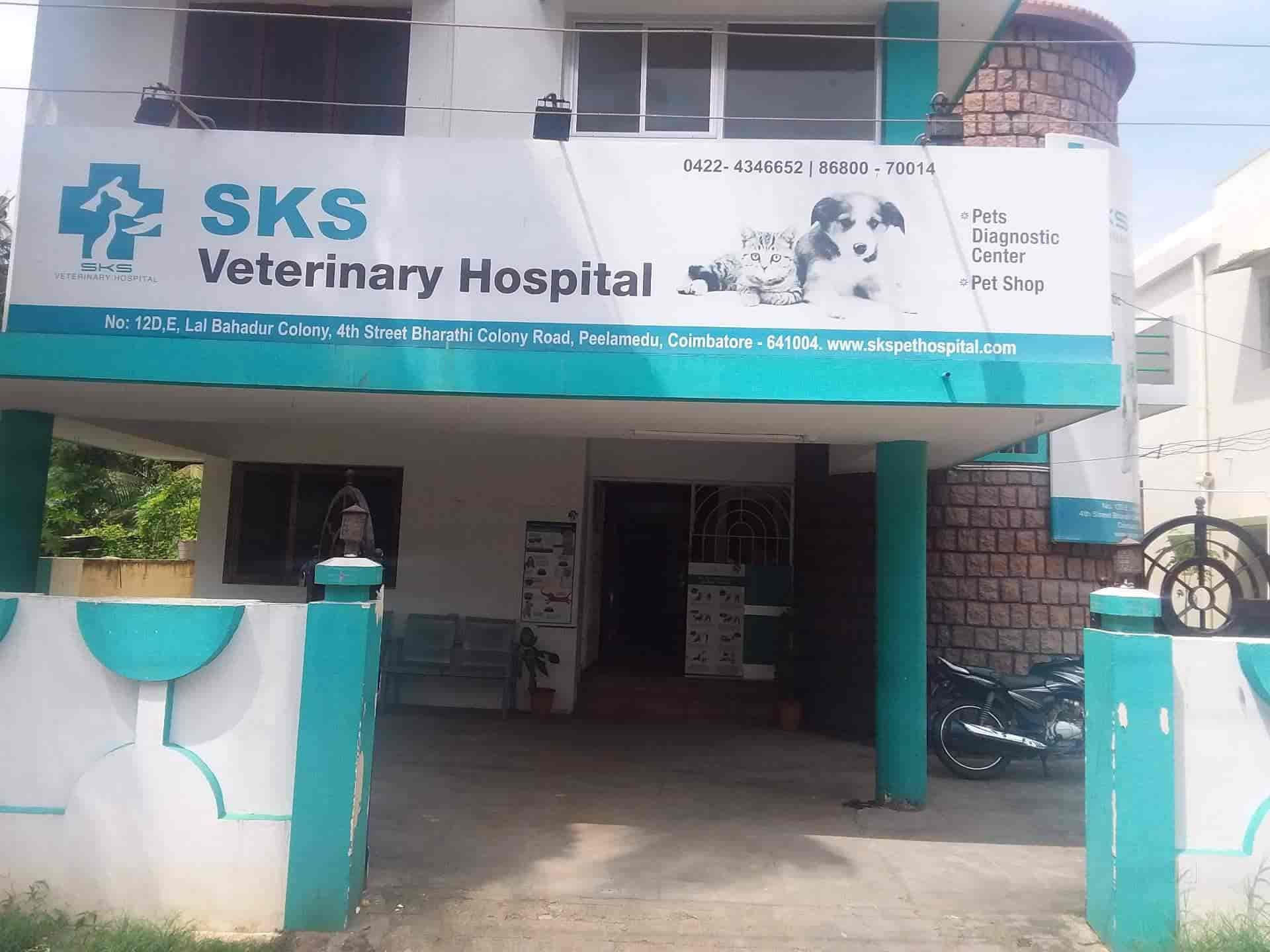 dog veterinary hospital near me