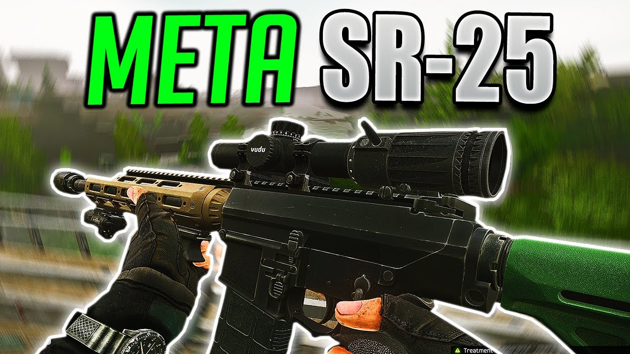 sr 25 meta build