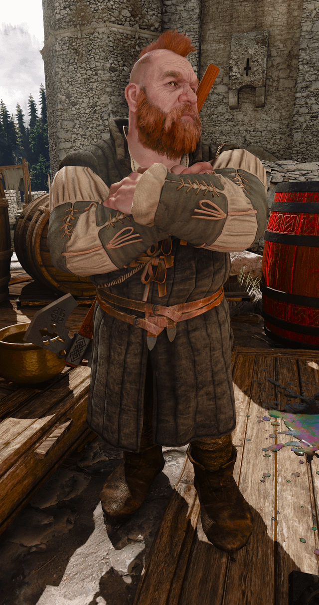 witcher 3 zoltan