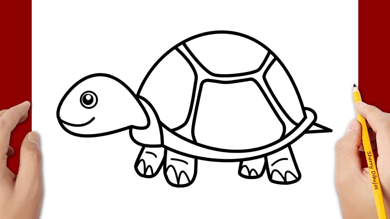 dibujo de una tortuga facil