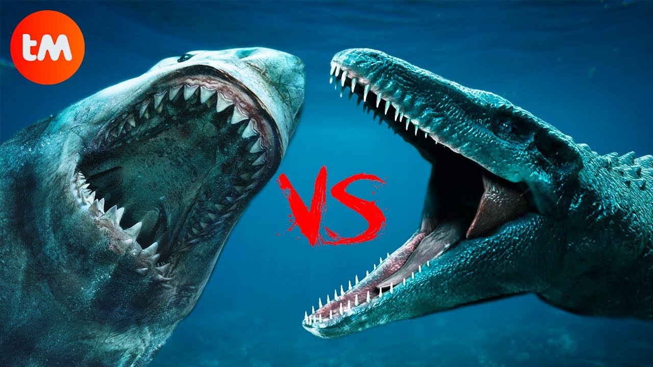 mosasaurus vs megalodon