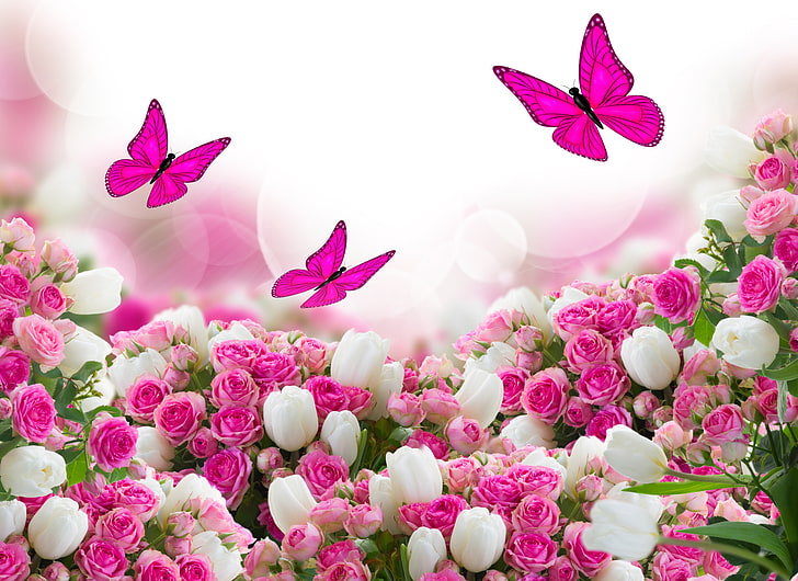 flower and butterfly wallpaper