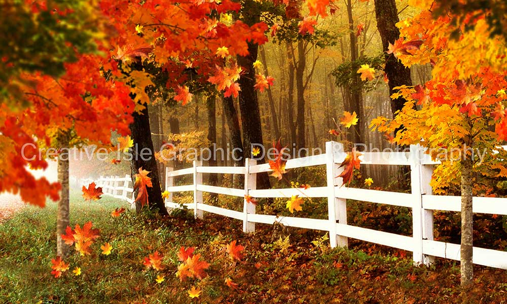 fall scene image