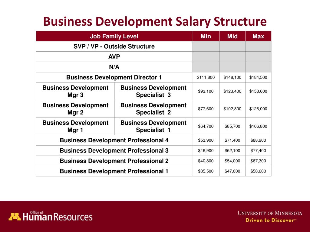 director of business development salary